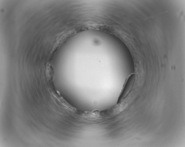 X0000054440768200508191611