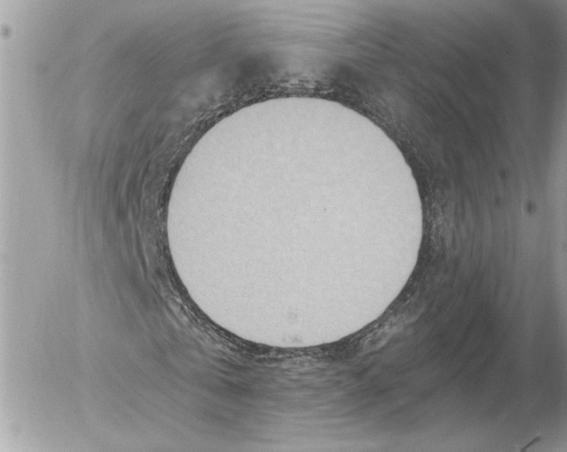 X0000054440769200508191610