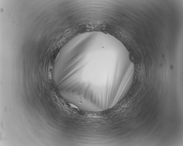 X0000054440770200508191610