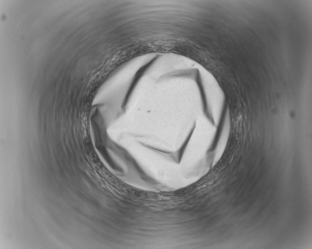 X0000054440772200508191610