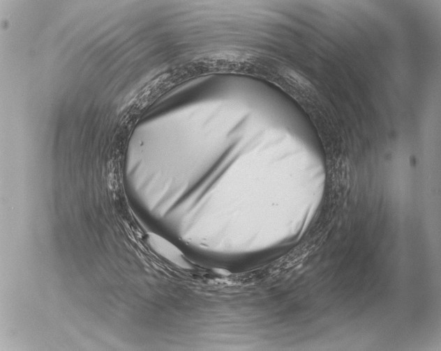 X0000054440774200508191610