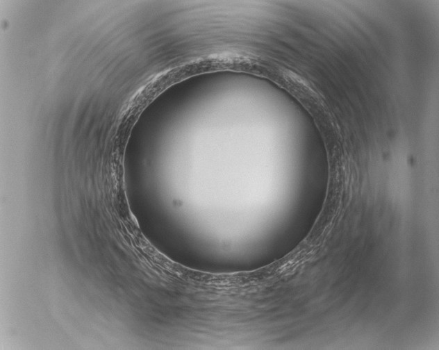 X0000054440776200508191610