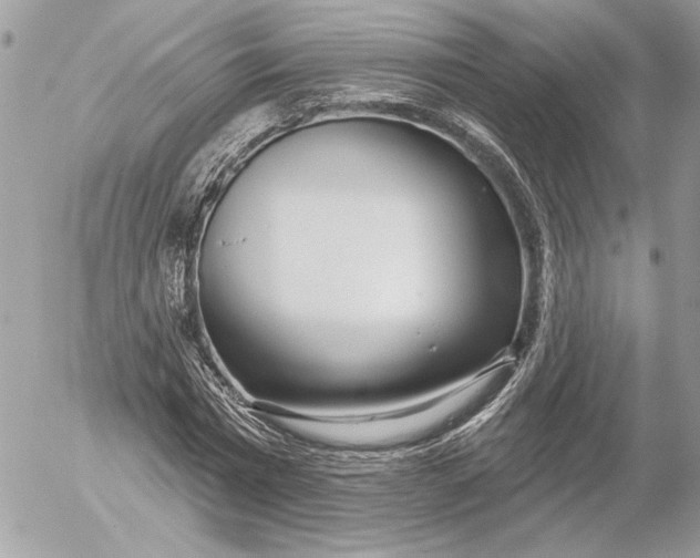 X0000054440777200508191610