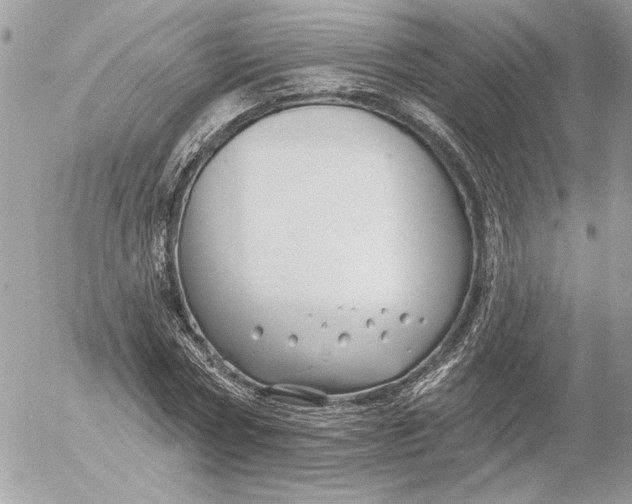 X0000054440778200508191610