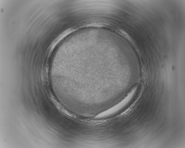 X0000054440779200508191610