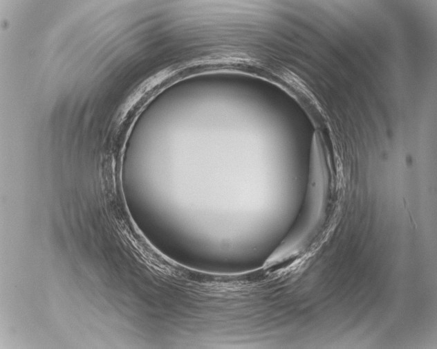 X0000054440781200508191610