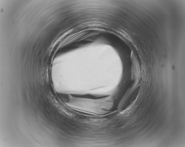 X0000054440782200508191610