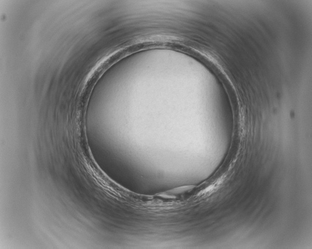 X0000054440783200508191610