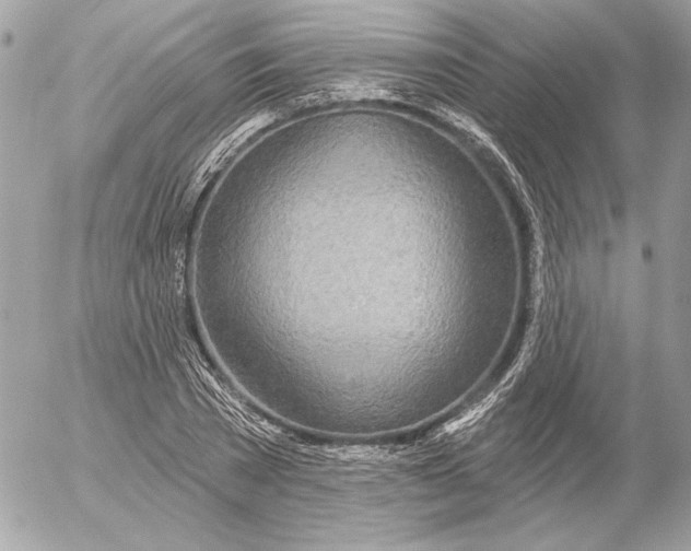 X0000054440785200508191610