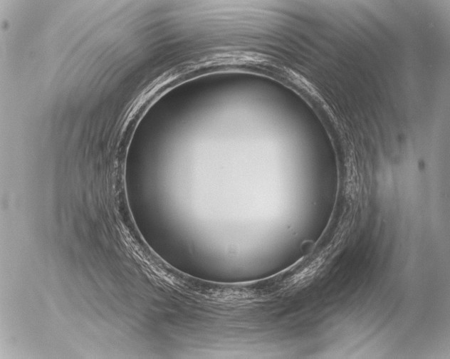 X0000054440786200508191610