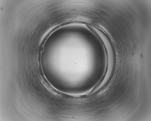 X0000054440788200508191610