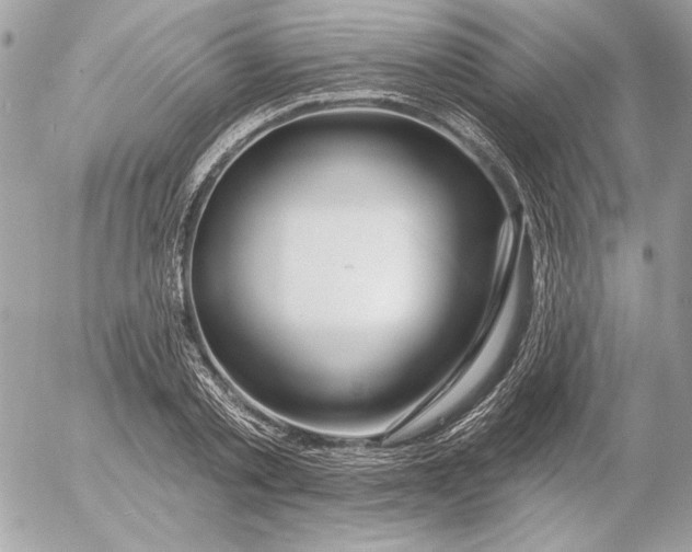 X0000054440789200508191610