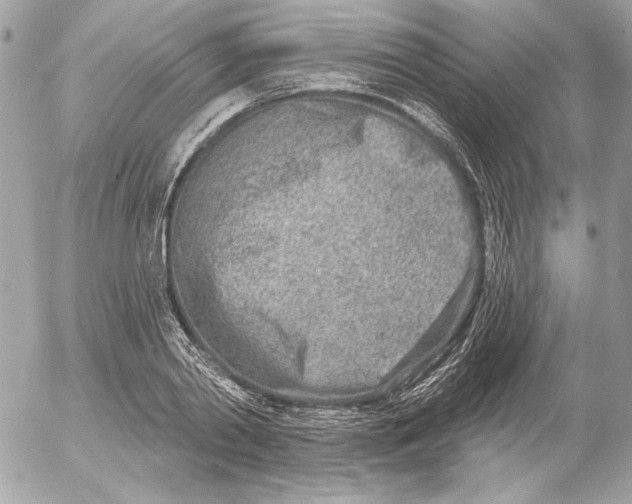 X0000054440790200508191610