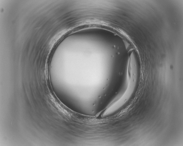 X0000054440791200508191610