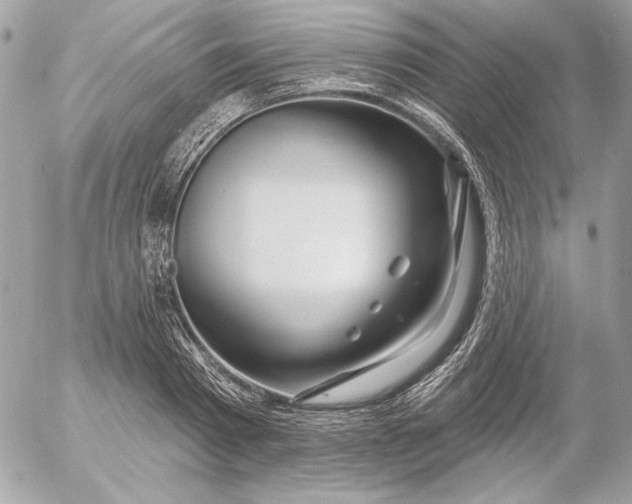 X0000054440793200508191610