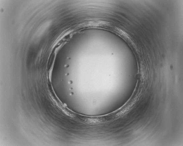 X0000054440794200508191610