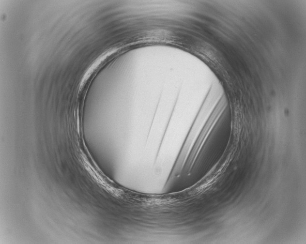 X0000054440796200508191610