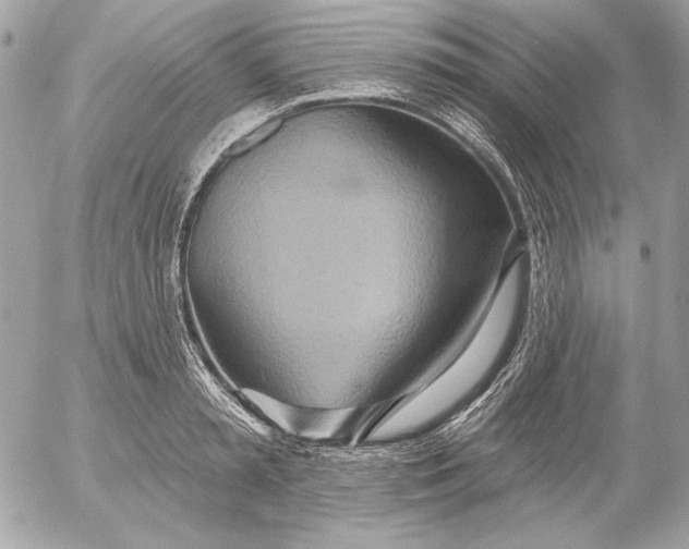 X0000054440797200508191610