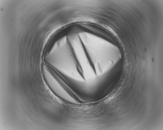 X0000054440799200508191610