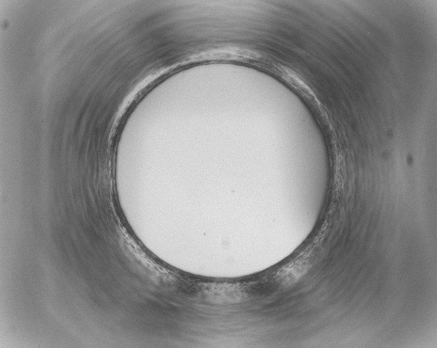 X0000054440800200508191610