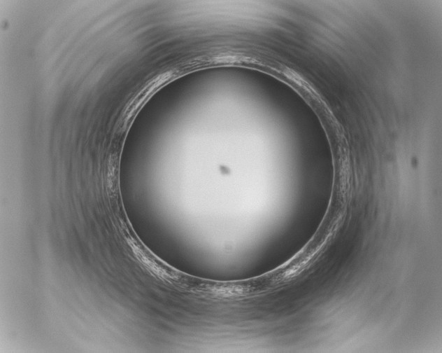 X0000054440801200508191610