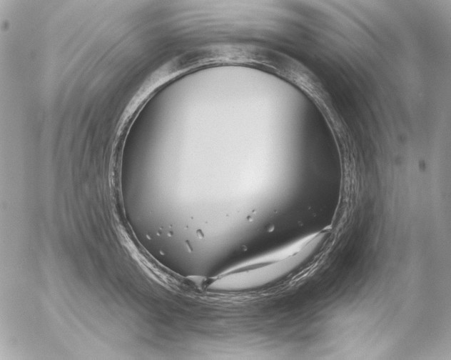 X0000054440803200508191610