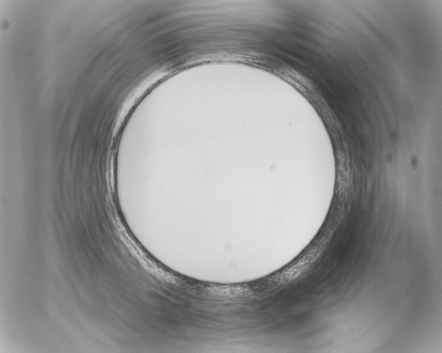 X0000054440804200508191610