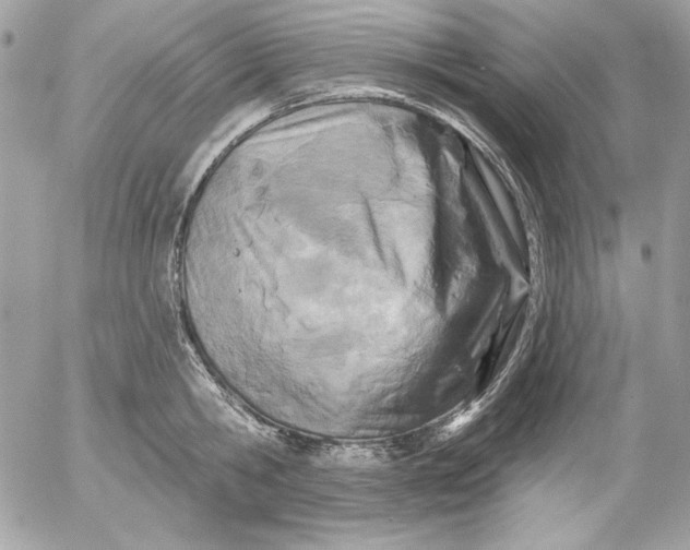 X0000054440806200508191610