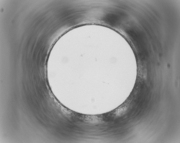 X0000054440807200508191610