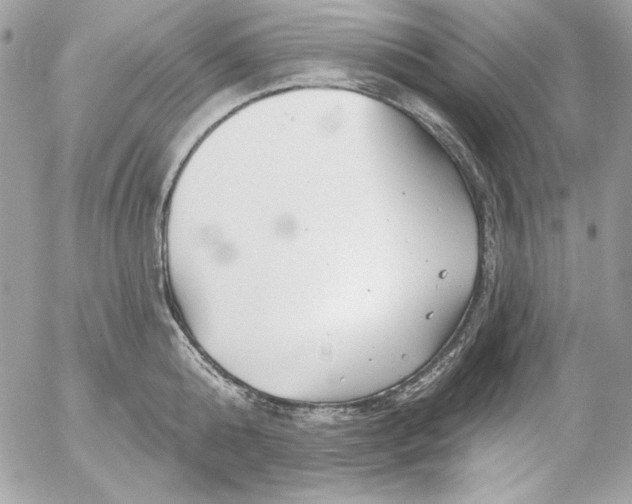 X0000054440808200508191610