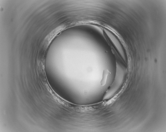 X0000054440809200508191610