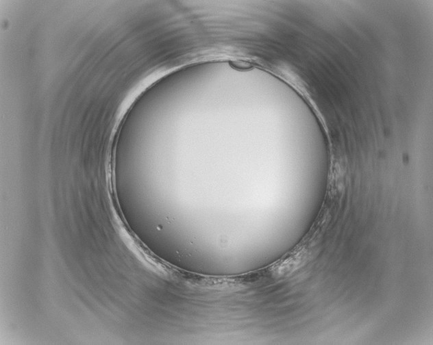 X0000054440811200508191610