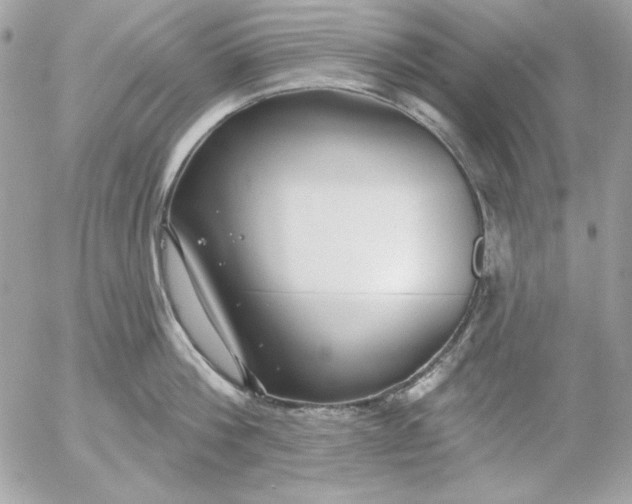 X0000054440812200508191610