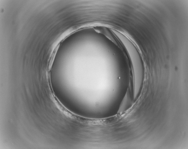 X0000054440813200508191610