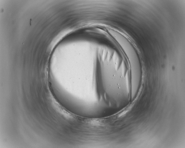 X0000054440814200508191609