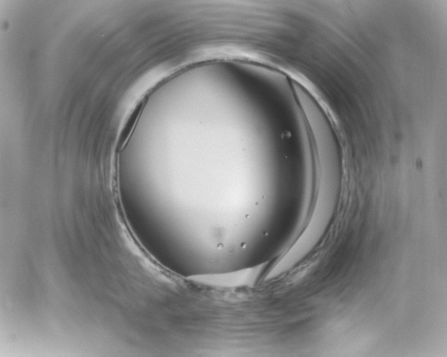 X0000054440815200508191609