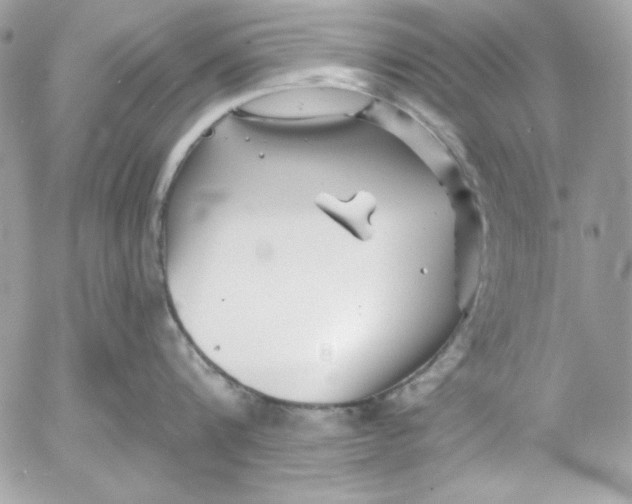 X0000054440816200508191609