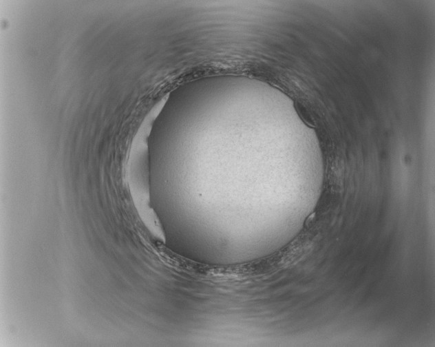 X0000054440817200508191609