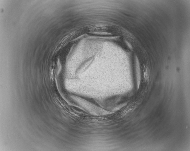 X0000054440819200508191609