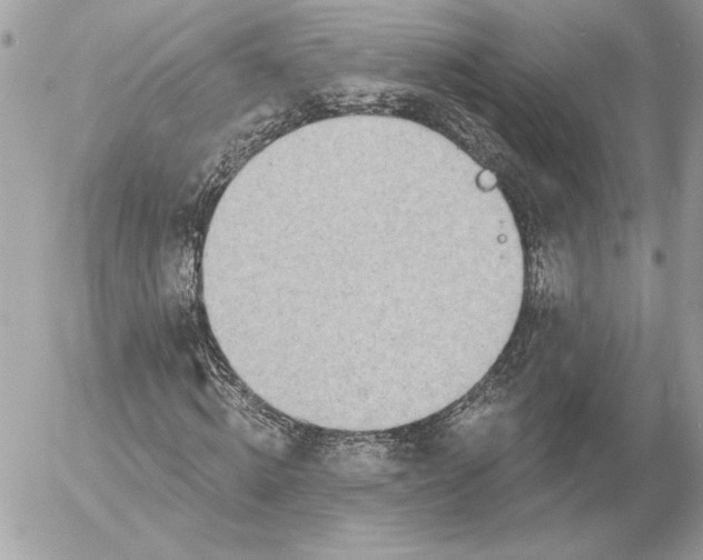 X0000054440820200508191609