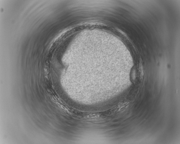 X0000054440823200508191609