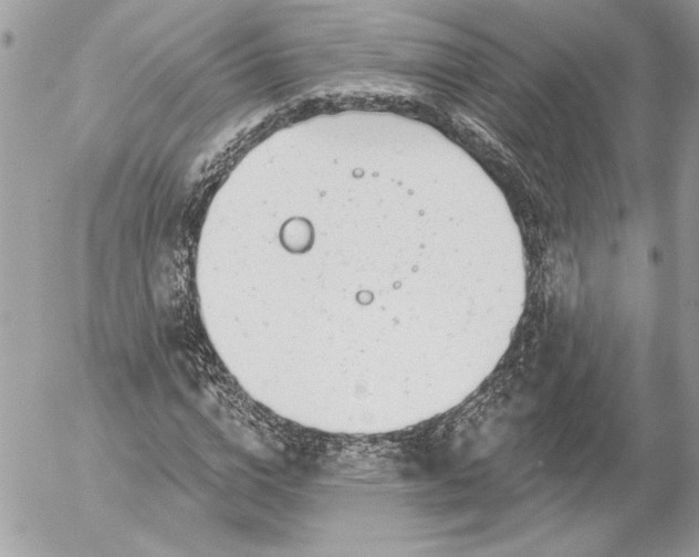 X0000054440824200508191609