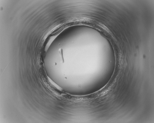 X0000054440826200508191609