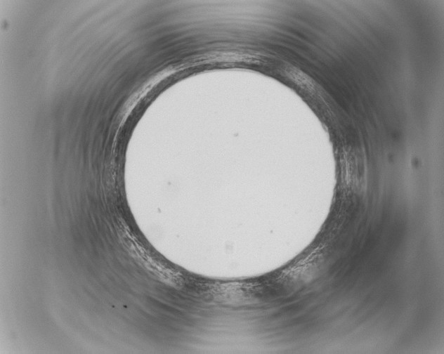 X0000054440828200508191609