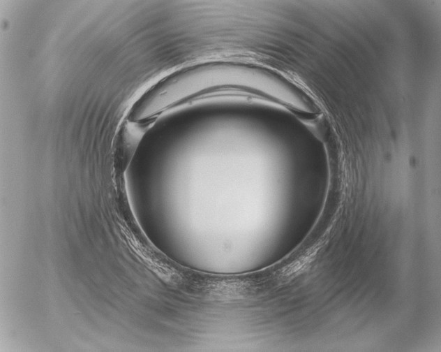 X0000054440830200508191609