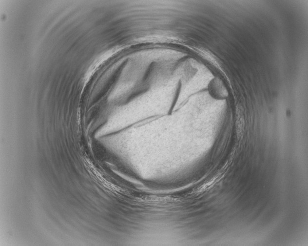 X0000054440831200508191609