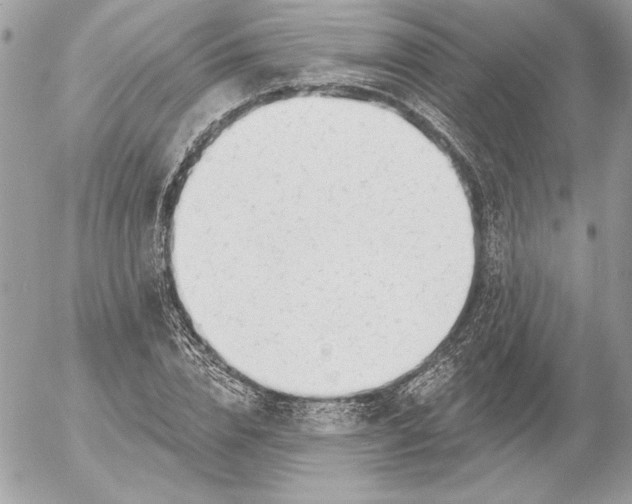 X0000054440832200508191609