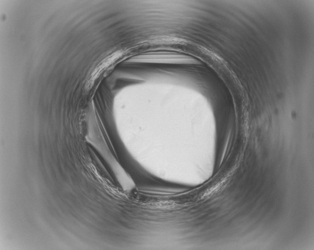 X0000054440833200508191609