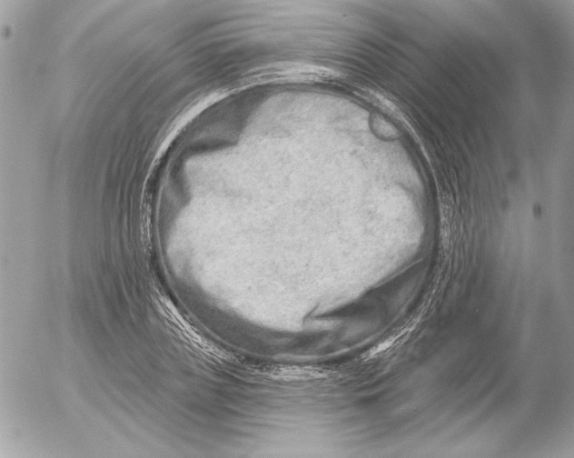 X0000054440835200508191609