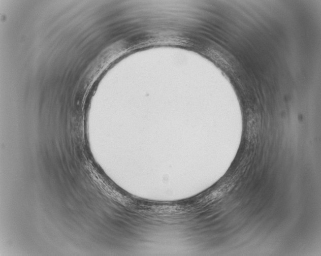 X0000054440836200508191609